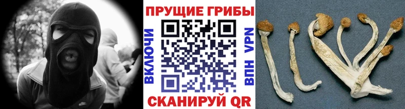 OMG как зайти  где купить наркоту  Октябрьский  Псилоцибиновые грибы GOLDEN TEACHER 